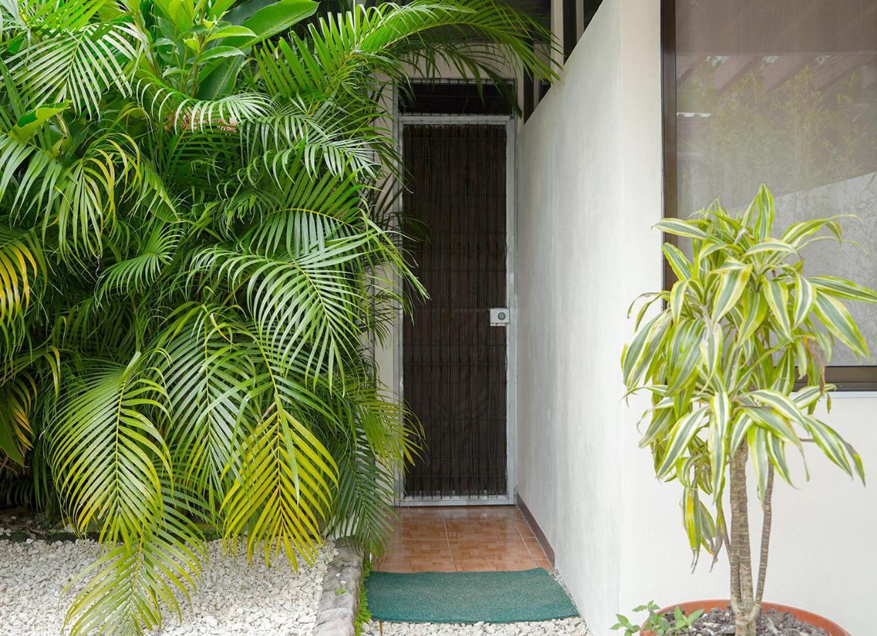 Apartamentos Y Studios Brisas Del Mar Santa Teresa Playa Santa Teresa  المظهر الخارجي الصورة