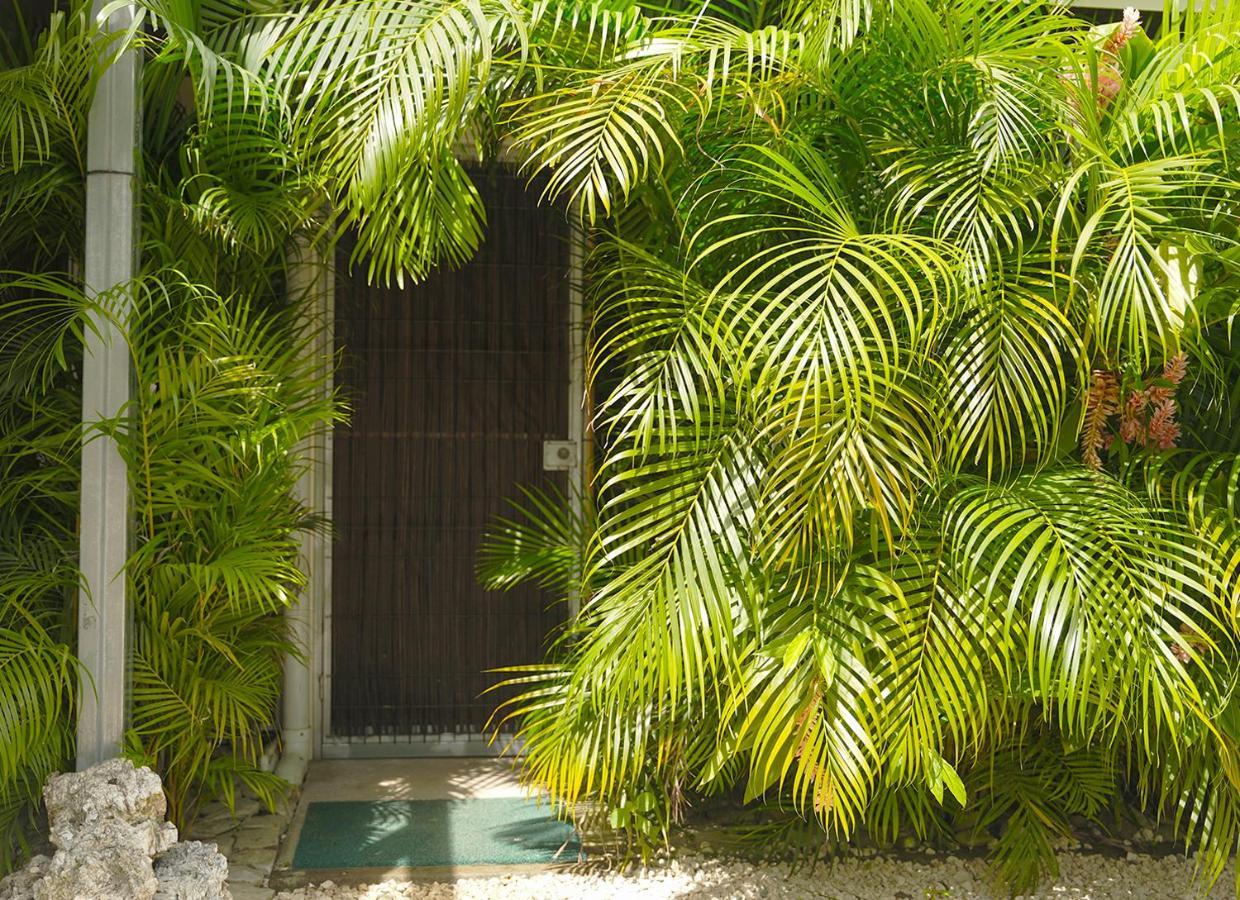 Apartamentos Y Studios Brisas Del Mar Santa Teresa Playa Santa Teresa  المظهر الخارجي الصورة